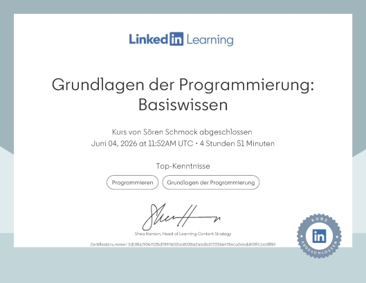 Grundlagen der Programmierung: Basiswissen